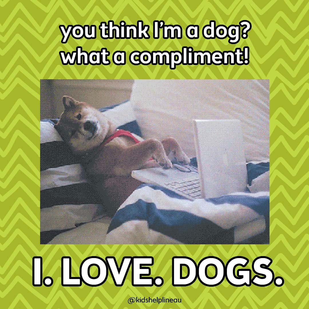 Dog typing on a key board saying "So think I'm a dog? What a compliment! I love dogs"